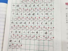 -赵汝飞练字硬笔书法(静安大融城校区)