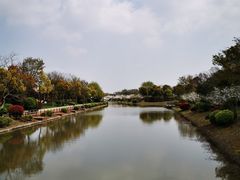 -上海海湾国家森林公园