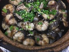 -红星光发煲仔饭(大石街店)