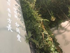 -潮粥荟·潮汕砂锅粥(朝阳大悦城店)