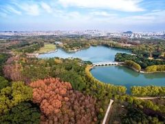 -昆山城市生态森林公园