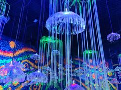 -梵高星空艺术馆(北京旗舰店)