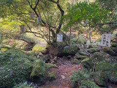 -赤水丹霞旅游区·佛光岩