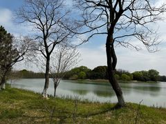 -苏州太湖国家湿地公园
