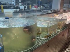 -前门烤鸭(江东中路店)