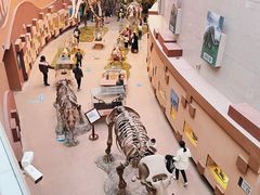 -陕西自然博物馆