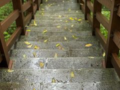 -宁波市保国寺古建筑博物馆