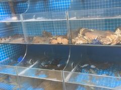 -宾朋海鲜饭庄(兴海路店)