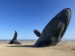 -烟台金沙滩海滨公园