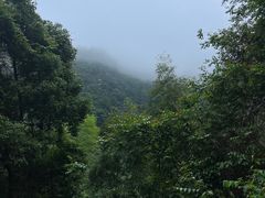 -庐山碧龙潭风景区
