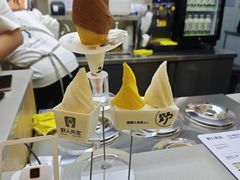 -野人先生现做冰淇淋(北京悠唐购物中心店)