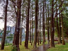 -四海公园(南山区)