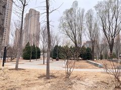 -大望京公园