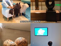 -上海佘山世茂艾美酒店