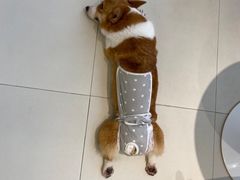 -怪兽屋·羊驼·猫咖·狗咖(俊华广场店)