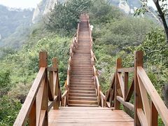 -大岭沟猕猴桃谷风景区