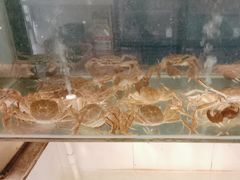 -小乡小镇·传承桐庐土菜·老板亲自烧的菜