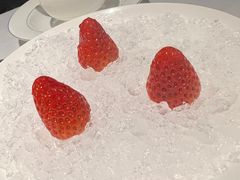 -红雀围·海鲜火锅(陆家嘴中心店)