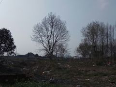 -明中都皇故城及皇陵石刻