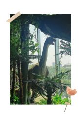 -恐龙探索乐园(磁器口店)