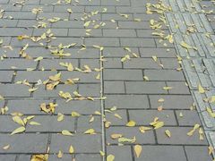 -丫丫桂林米粉(学府店)