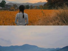 -塔川景区