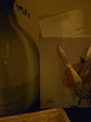 -尊尚柏丽美容SPA