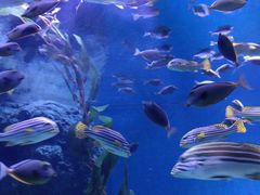 -成都浩海立方海洋公园