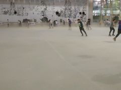 -世界之窗阿尔卑斯冰雪世界