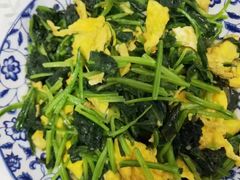 -天鹅到家·保姆月嫂育儿嫂(朝阳店)