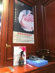 -东晨宝格丽品质造型