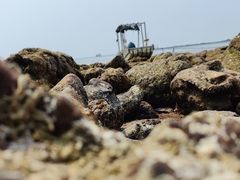 -江山半岛白浪滩景区
