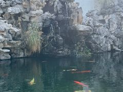 -观唐（国际）度假村温泉