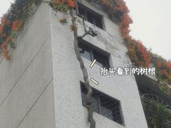 -长远七记