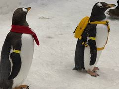 -长沙湘江欢乐雪域