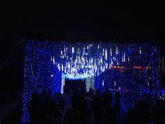 -长春公园(普阳街道)