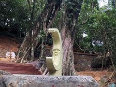 -七仙岭温泉国家森林公园