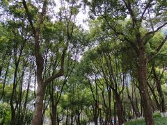 -重庆市江北嘴中央商务区中央公园