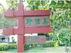 -野狸岛