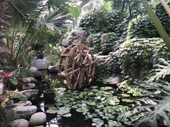 -白洋淀景区