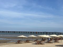 -巨鹏飞梦幻海岸