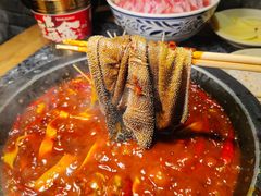 -蜀大侠火锅(总府路店)