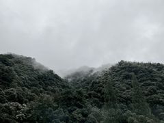 -新月集庭院咖啡馆(老邮局店)