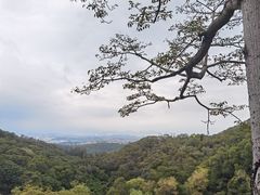 -草庵摩尼教遗址公园