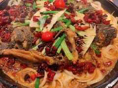 老板恋上鱼-老板恋上鱼(高新万达店)