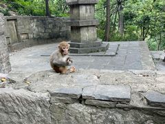 -黔灵山公园