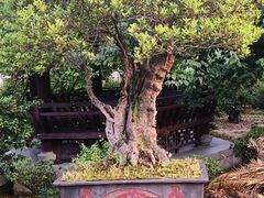 -万景茶庄·台州菜