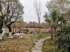 -Supine Bistro溯泮餐厅