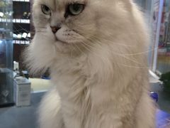 -小时光咖啡馆(开森度假森林店)