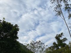 -马峦山郊野公园